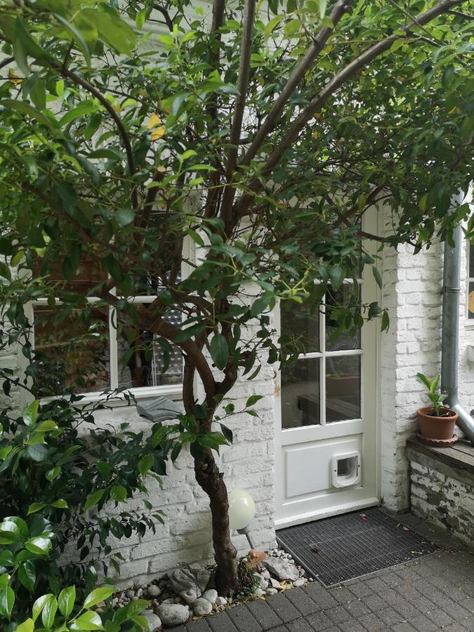 May-Apartment Koeln Zentrale Ferienwohnung Eksteriør billede